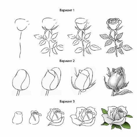 50 idées & tutos de dessins de fleurs 19