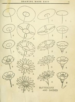 50 idées & tutos de dessins de fleurs 23