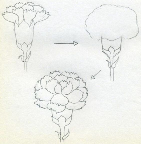 50 idées & tutos de dessins de fleurs 4