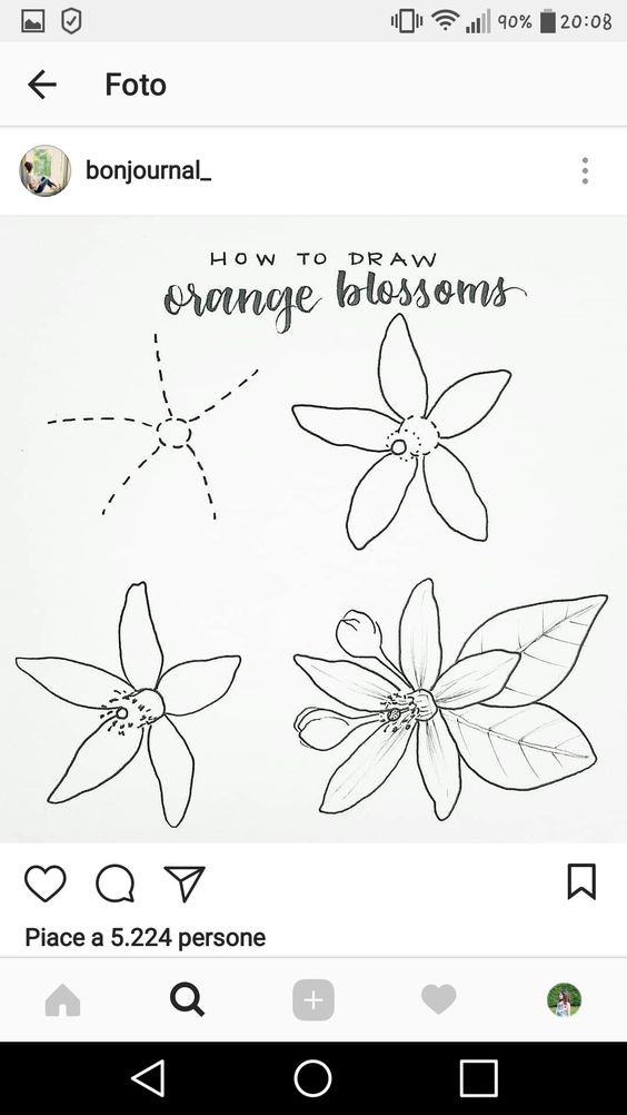 50 idées & tutos de dessins de fleurs 41