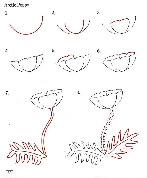 50 idées & tutos de dessins de fleurs 44