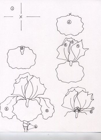 50 idées & tutos de dessins de fleurs 49