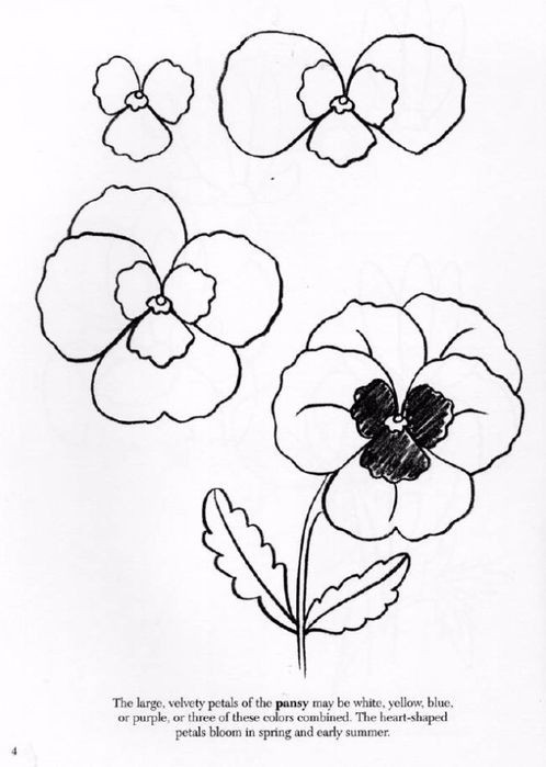 50 idées & tutos de dessins de fleurs 9