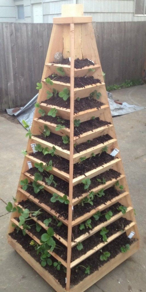 29 carrés potager sur pied à faire soi-même 10