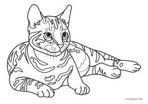 39 top idées de coloriages chat à imprimer 3