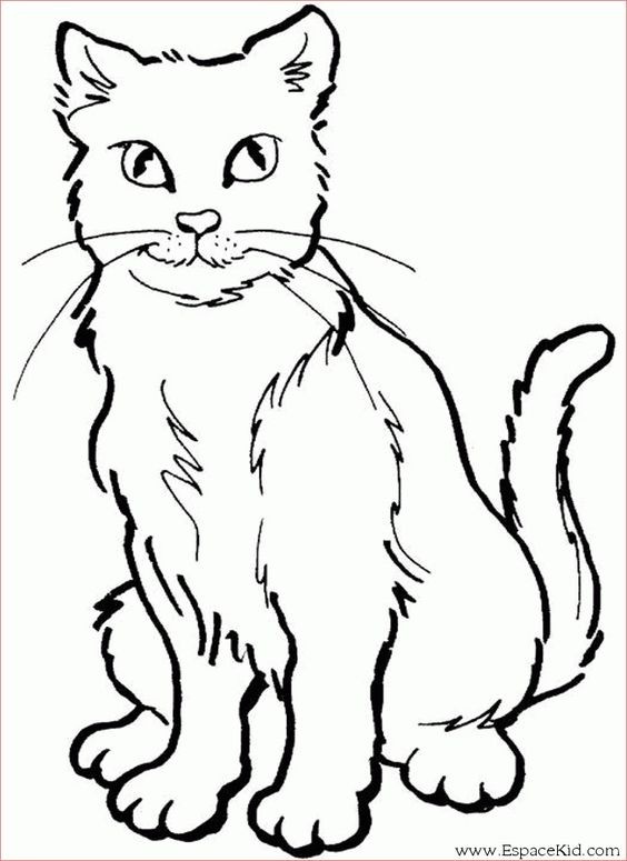 39 top idées de coloriages chat à imprimer 8