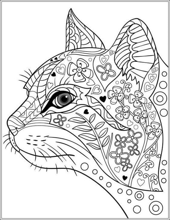 39 top idées de coloriages chat à imprimer 12