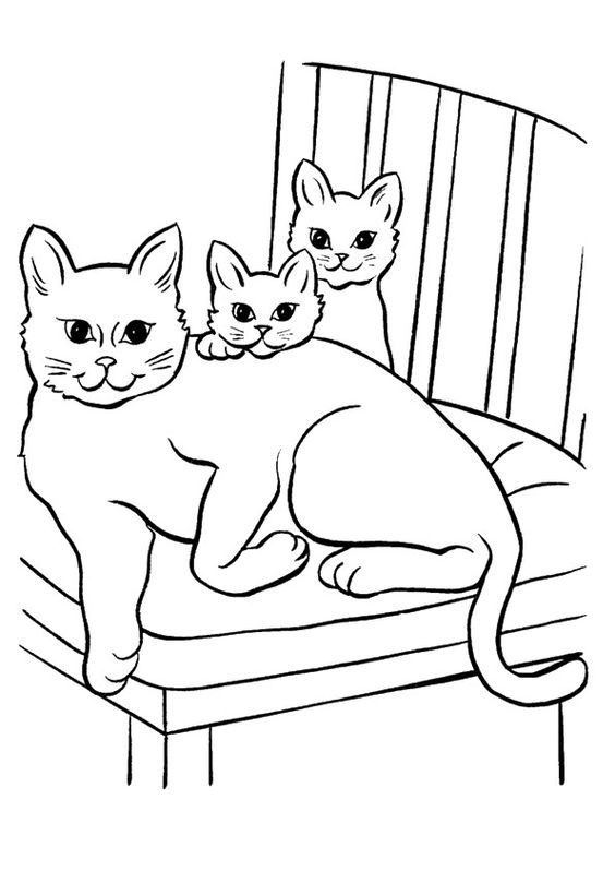 39 top idées de coloriages chat à imprimer 14