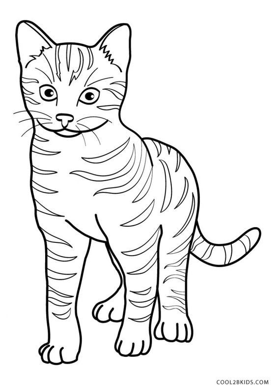 39 top idées de coloriages chat à imprimer 17