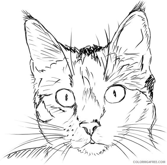 39 top idées de coloriages chat à imprimer 23