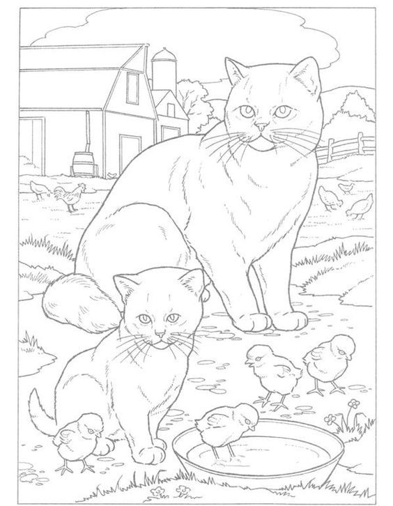 39 top idées de coloriages chat à imprimer 26