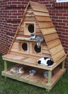 45 top idées de maisons de chat en plein air 44