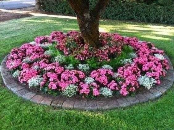 80 irrésistibles idées pour embellir son jardin 51