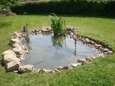 28 idées pour créer une mare naturelle dans le jardin 1