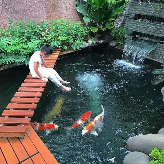 28 idées pour créer une mare naturelle dans le jardin 8