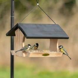 12 idées de mangeoires à oiseaux vraiment très mignons 9