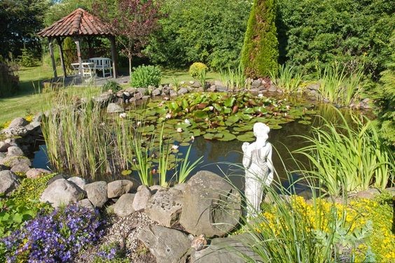 28 idées pour créer une mare naturelle dans le jardin 27