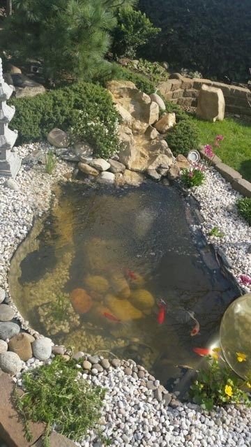 28 idées pour créer une mare naturelle dans le jardin 28