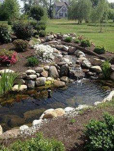 28 idées pour créer une mare naturelle dans le jardin 14