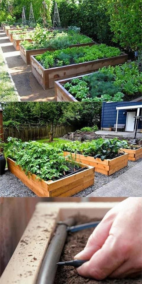 12 très bonnes idées pour le jardin 4