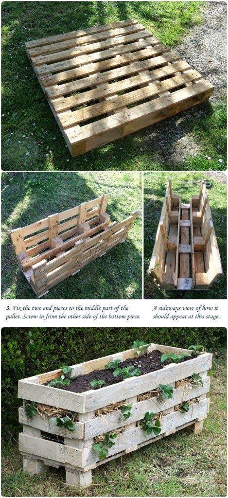 80 astuces incroyables pour transformer votre jardin sans vous ruiner! 9