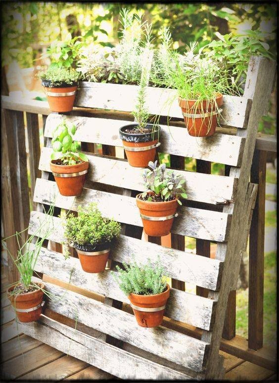 80 astuces incroyables pour transformer votre jardin sans vous ruiner! 18