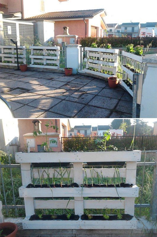 80 astuces incroyables pour transformer votre jardin sans vous ruiner! 46