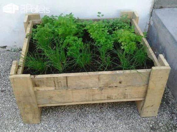 80 astuces incroyables pour transformer votre jardin sans vous ruiner! 26