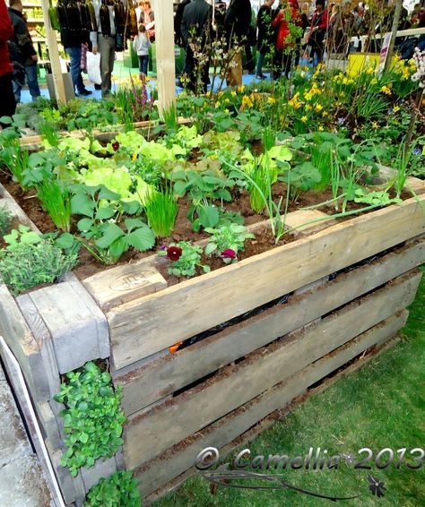 80 astuces incroyables pour transformer votre jardin sans vous ruiner! 59