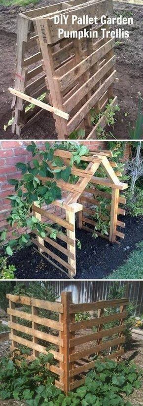 80 astuces incroyables pour transformer votre jardin sans vous ruiner! 27