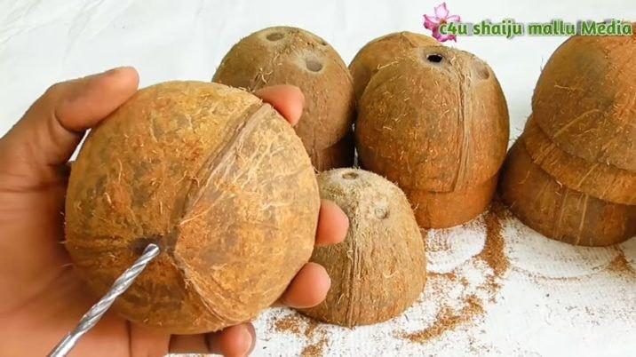 24 idées géniales avec des coques de noix de Coco 12