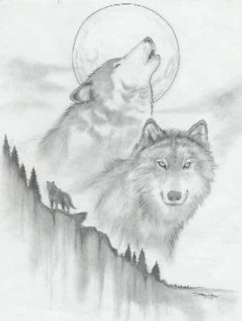 51 Coloriages Loup Gratuits à Imprimer 4