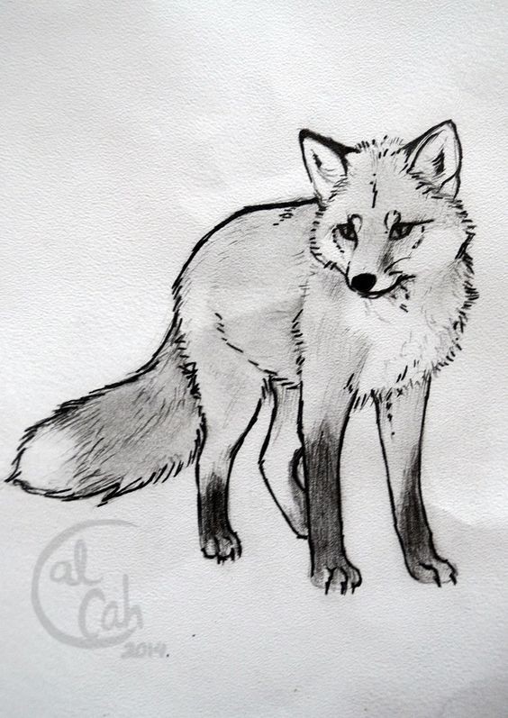 51 Coloriages Loup Gratuits à Imprimer 5