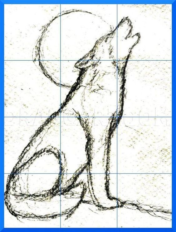 51 Coloriages Loup Gratuits à Imprimer 19