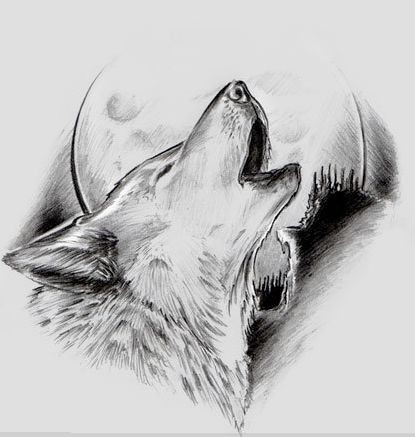 51 Coloriages Loup Gratuits à Imprimer 25