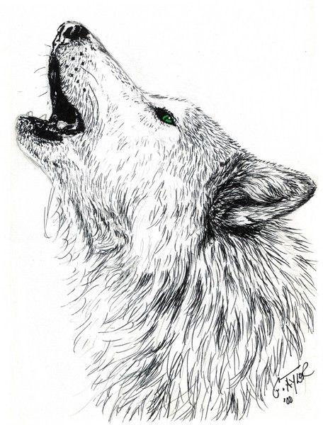 51 Coloriages Loup Gratuits à Imprimer 27