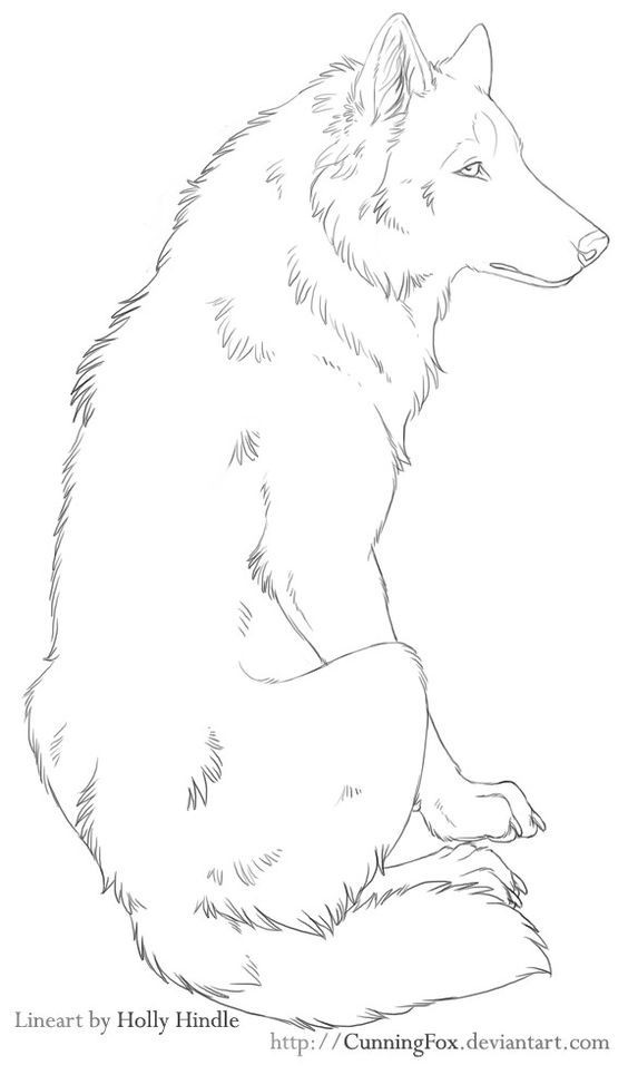 51 Coloriages Loup Gratuits à Imprimer 32