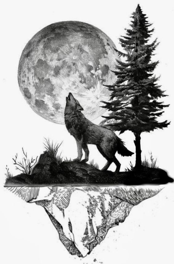 51 Coloriages Loup Gratuits à Imprimer 33