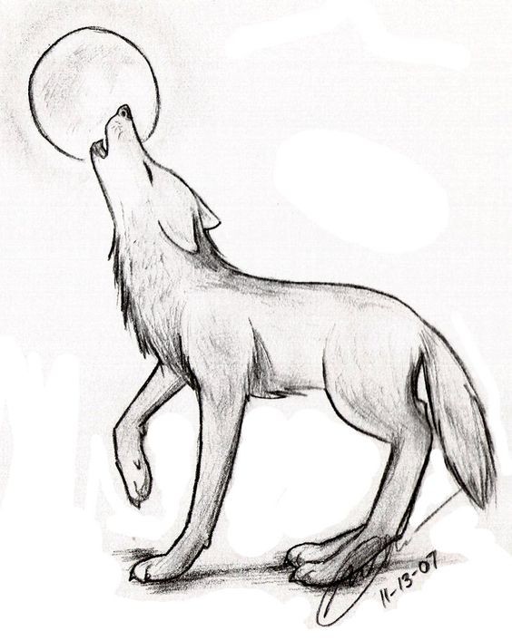 51 Coloriages Loup Gratuits à Imprimer 45