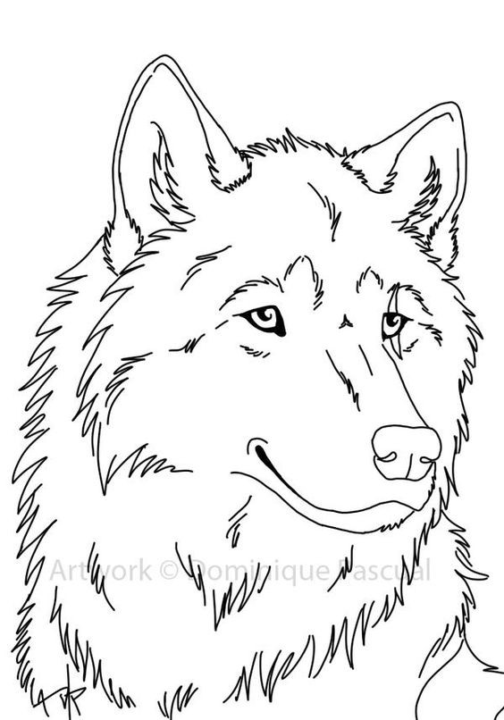 51 Coloriages Loup Gratuits à Imprimer 51