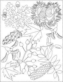 58 Coloriages Automne Gratuits A Imprimer 53