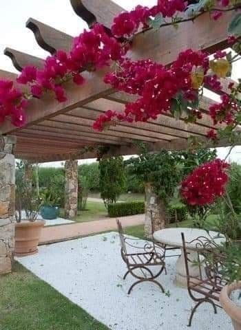 23 suggestions de pergolas pour vous inspirer 2