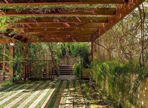 23 suggestions de pergolas pour vous inspirer 19