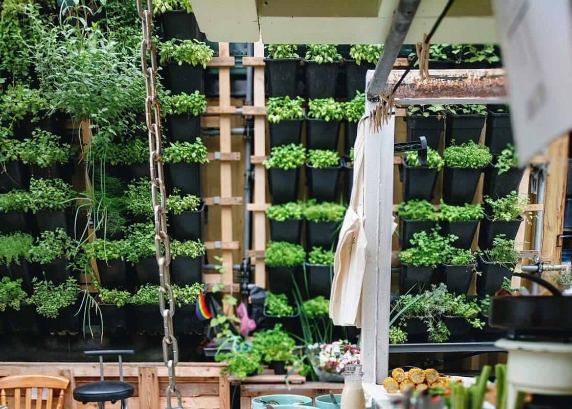 4 Raisons de créer une serre verticale dans son jardin 3