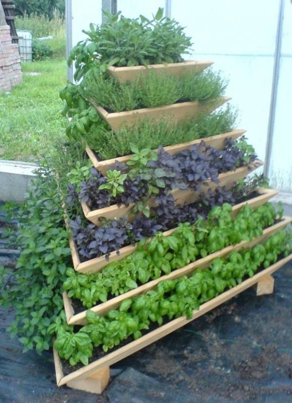 4 Raisons de créer une serre verticale dans son jardin 1