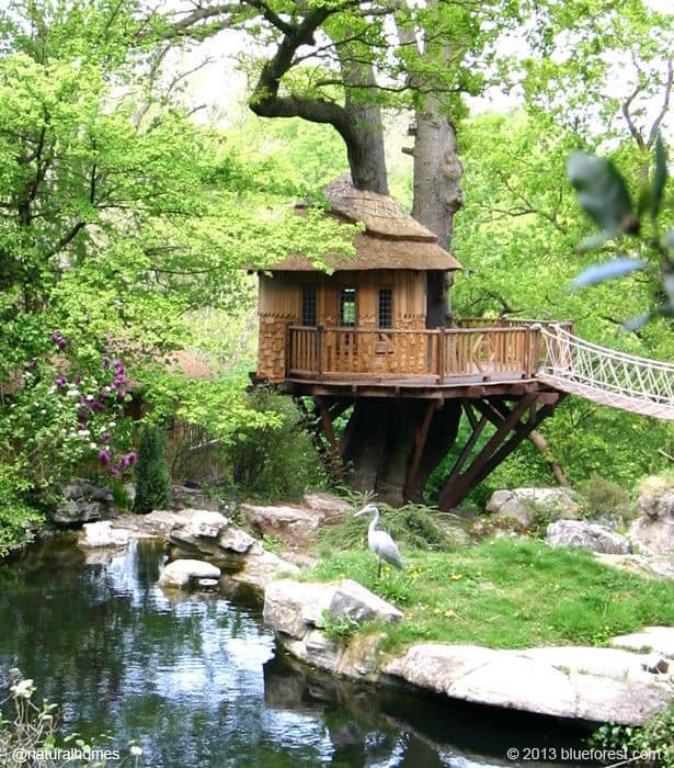 60 cabanes dans les arbres pour vivre vos rêves d'enfance 19