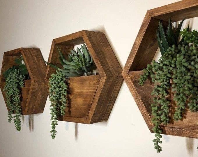 28 Étagères pour les plantes de votre maison 21