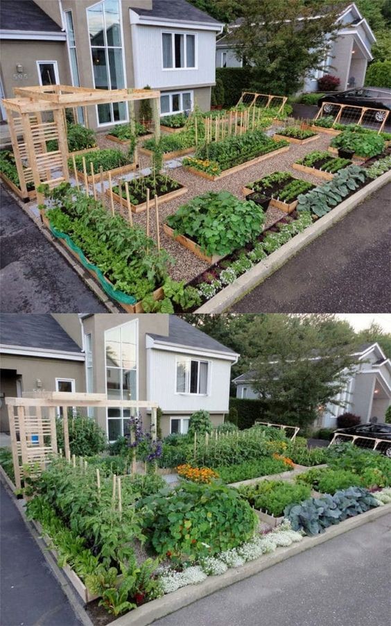 24 idées pour avoir un potager bien organisé 19