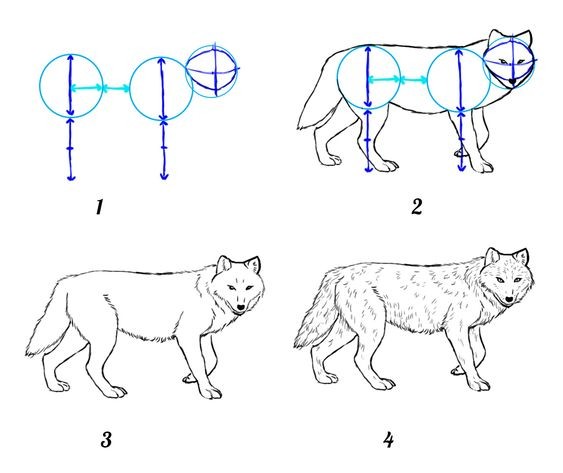 50 idées de dessins d'animaux faciles à faire 10