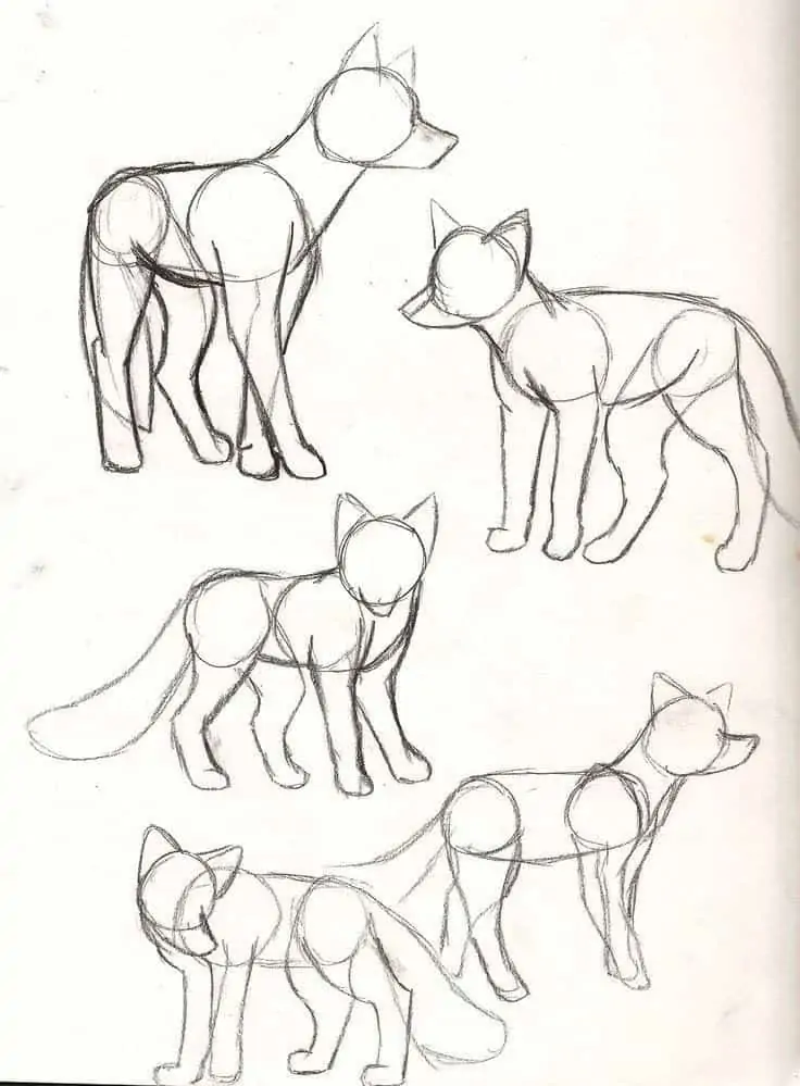 50 idées de dessins d'animaux faciles à faire 25